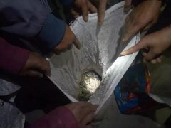 四川西昌5人抓133只野生蛙構成非法狩獵罪，各罰八千青海水土保持代辦公司