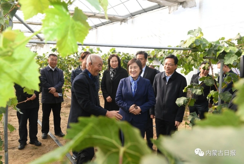 內蒙古自治區(qū)主席：全力做好大氣污染聯防聯控聯治工作 確?！八{天保衛(wèi)戰(zhàn)”圓滿收官青海水土保持代辦公司