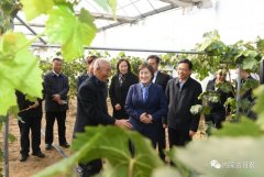 內蒙古自治區(qū)主席：全力做好大氣污染聯(lián)防聯(lián)控聯(lián)治工作 確?！八{天保衛(wèi)戰(zhàn)”圓滿收官青海水土保持代辦公司